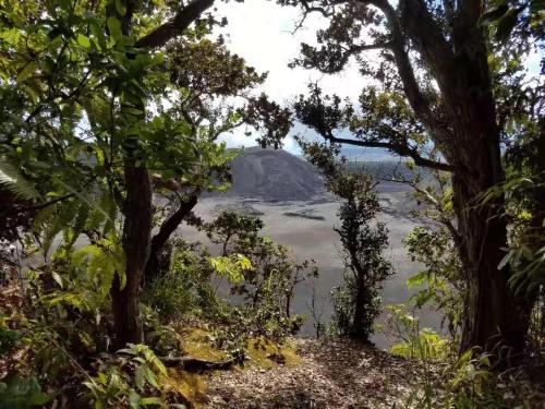 Volcano Forest Inn - image 11
