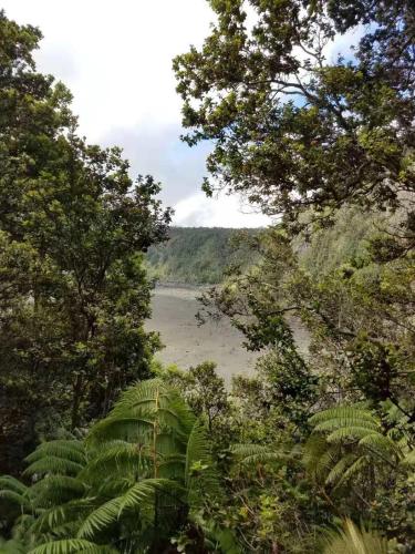 Sport és szabadidő, Volcano Forest Inn in Volcano (HI)