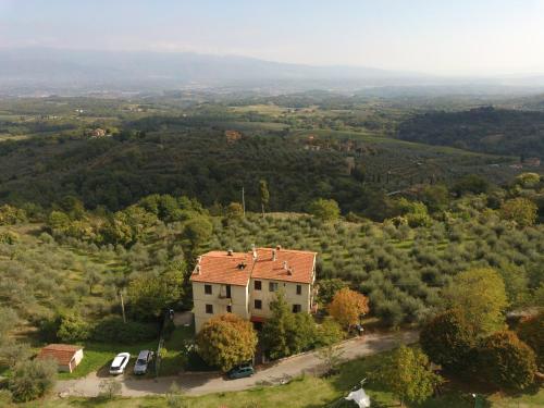 La Casa Viola - Apartment - Cavriglia