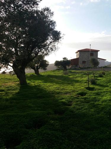  Akonize Kerames in Keramés