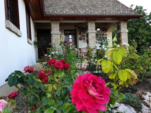  decsi-hegyi apartman in Decs