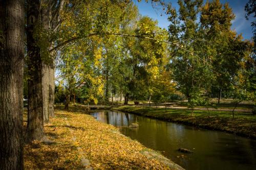  Aqua Land Villapark in Ráckeve