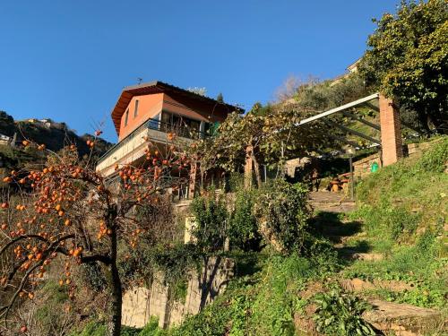  Villa Vigna, Pension in Montignoso