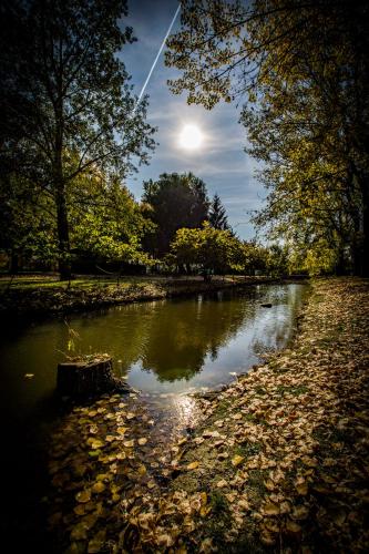  Aqua Land Villapark in Ráckeve