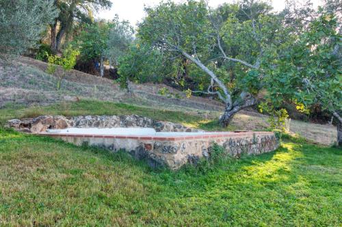 Vivienda Rural Olivar del Chanza