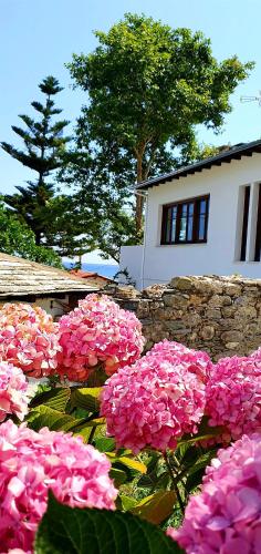 Aeolos Hotel & Villas - Pelion - image 2