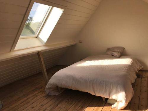 Studio Minerva, Amberes (foto 9)