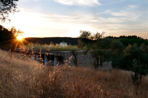 Vivienda Rural Olivar del Chanza