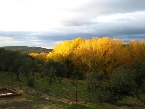 Vivienda Rural Olivar del Chanza