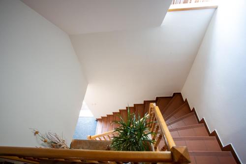 Apartmány Hájovna Hněvnice - image 7