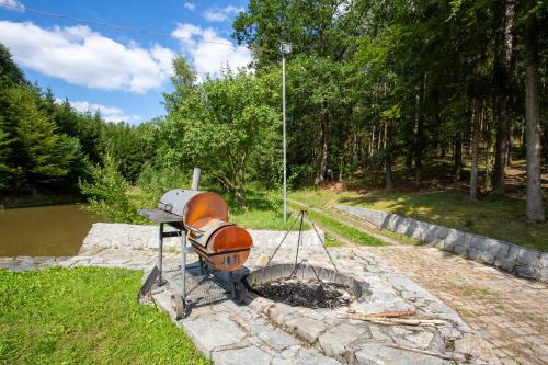 Apartmány Hájovna Hněvnice - image 10