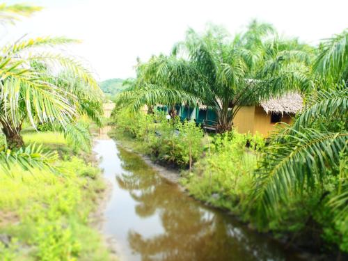 YaoIsland Resort and Farm