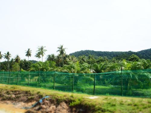 YaoIsland Resort and Farm