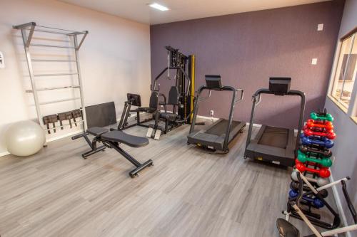 Carlton Plaza Hotel Uberlandia - 액티비티
