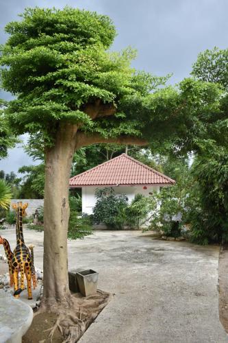 Rai Win Resort near Tesco Lotus Supermarket