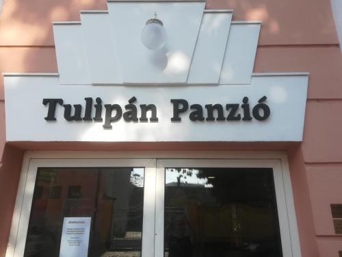  Tulipan Panzio in Komárom