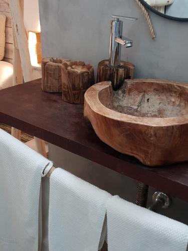 Cactus Host - image 6