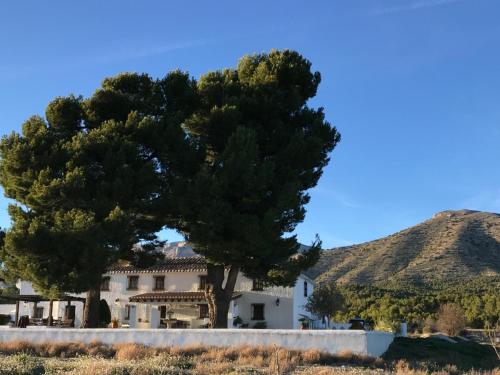 B&B Cortijo El Ciruelo in El Contador
