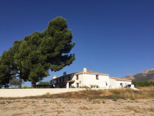 B&B Cortijo El Ciruelo in El Contador