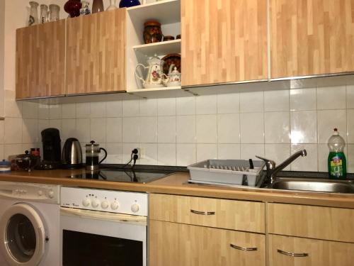 Homely Apartments near Exhibition Center, Hannover (fotografie 3)