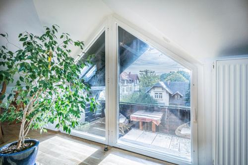 Ferienwohnung Sillack, Drážďany (fotografie 10)