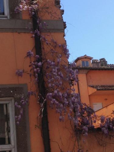 Your Home in Rome !