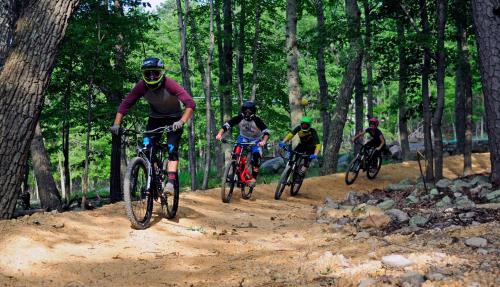 Massanutten's Woodstone Meadows by TripForth - image 2