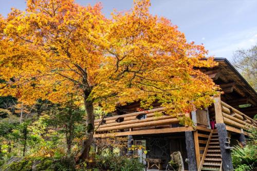 Japanese-Style Room with Shared Bathroom and Private Toilet