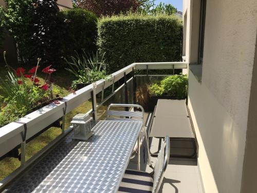 Mes Oasis Nancy - image 4
