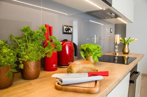 Verde Apartments - image 6