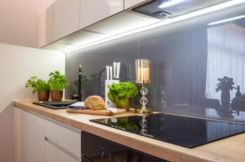 Verde Apartments - image 2