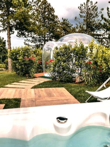 Glamping Tent with Panoramic Bubble 
