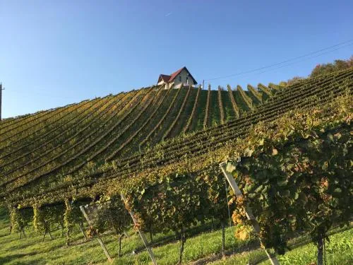 Weingartenhaus in Leutschach, Österreich