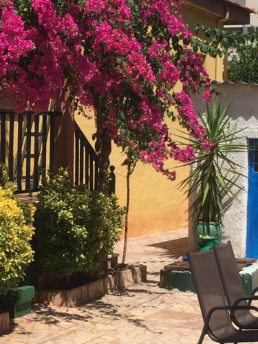  Cosy guesthouse-souterrain with garden in city center in Korinthos