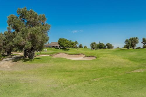 Pinta Golf 290F