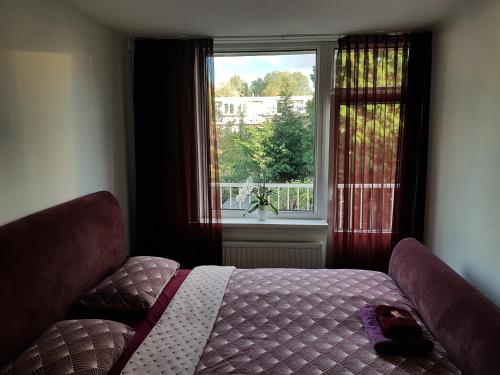 Sunny Guesthouse 2