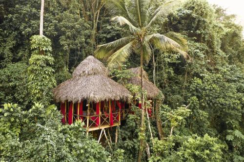 . Dominican Tree House Village