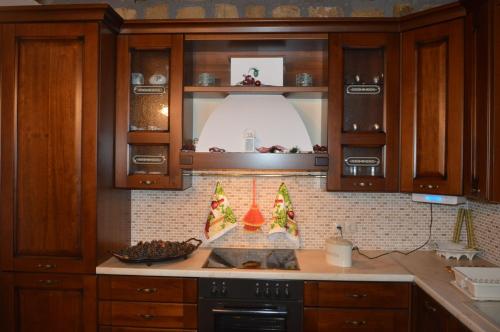virtuve, AELIA HOME in Synikia Mesi Trikalon