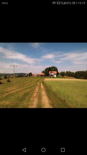 . Apartman JELA Jabuka