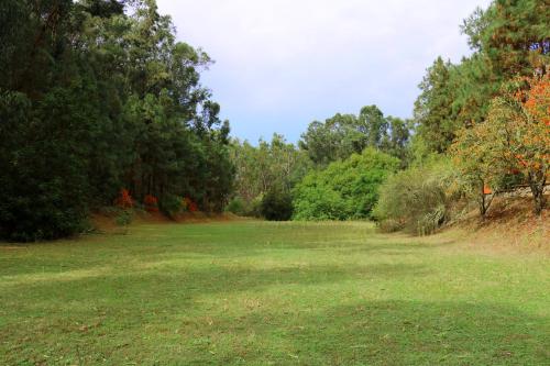 Casa Rural en medio del bosque, El Lance