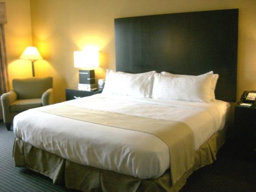 Holiday Inn St. Paul Northeast - Lake Elmo an IHG Hotel - image 3