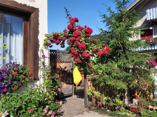 Gästehaus Gitti Dorner - image 8