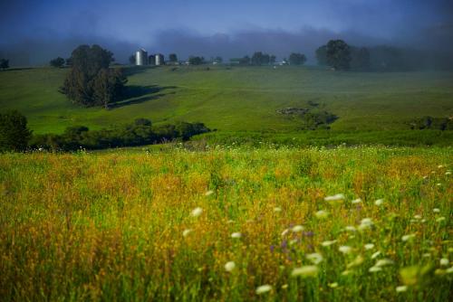 Giant's View Village Giant's View Village