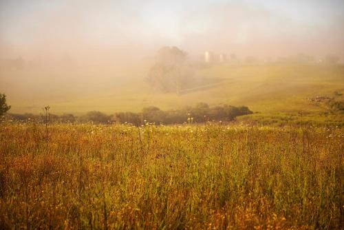 Giant's View Village Giant's View Village