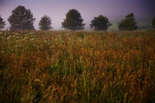 Giant's View Village Giant's View Village