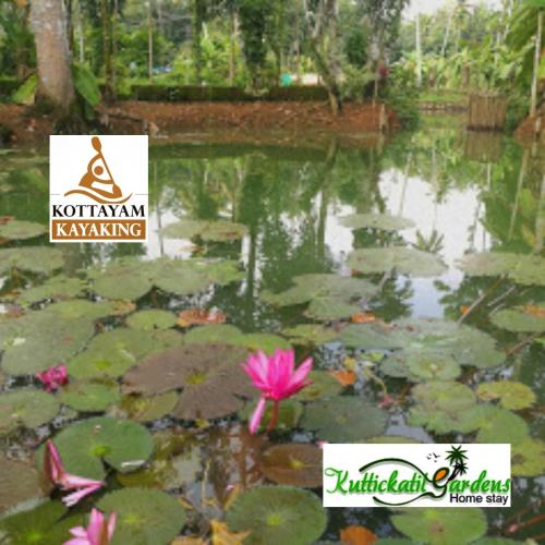 Kuttickattil Gardens Homestay