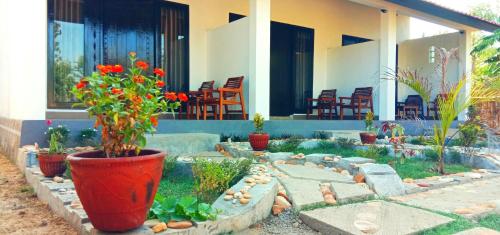 Barrel Homestay Areguling, Kuta Lombok