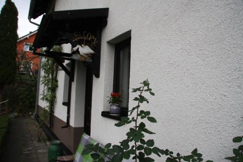 Ferienwohnung Am Steinbachtal - image 7