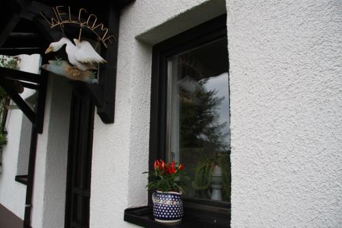 Ferienwohnung Am Steinbachtal - image 9