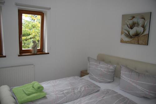 Ferienwohnung Am Steinbachtal - image 11